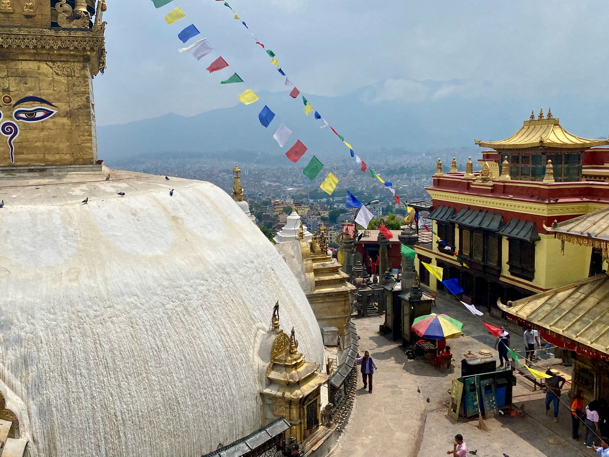 Community interaction